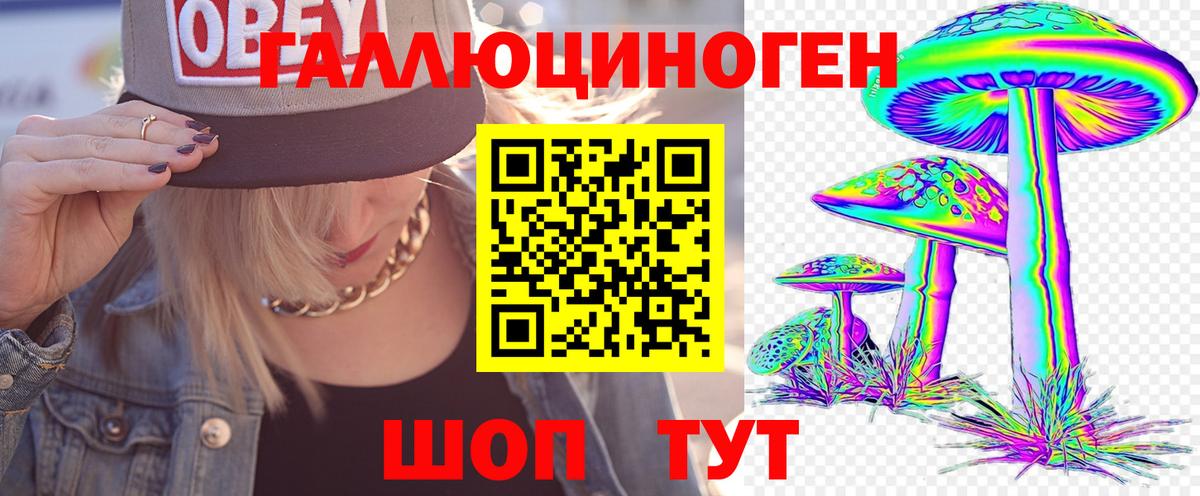 Псилоцибиновые грибы GOLDEN TEACHER Шарыпово